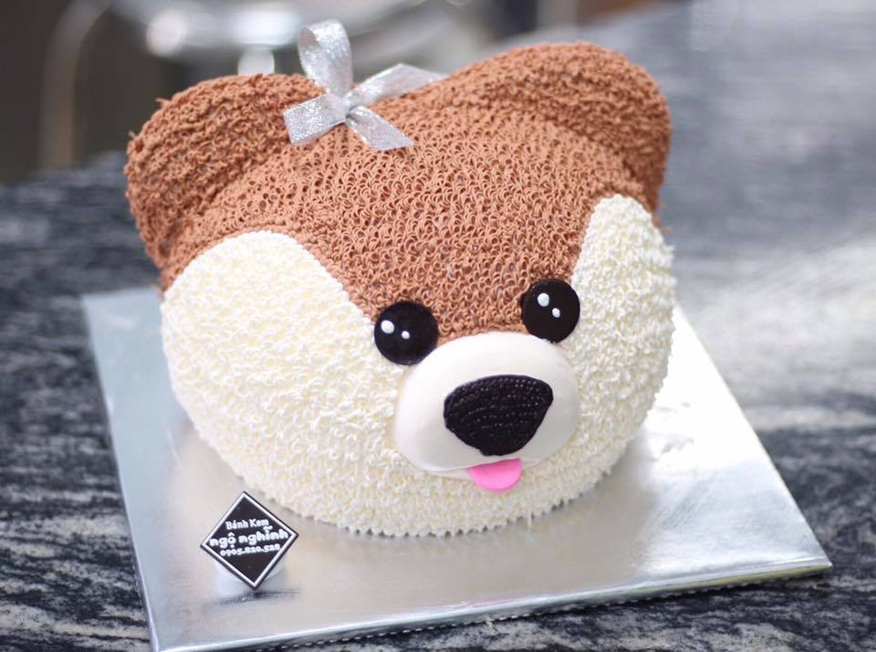 Top 179+ bánh sinh nhật hình con gấu