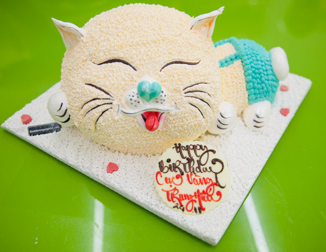 Bánh sinh nhật có hình mèo sẽ là một món quà tuyệt vời cho những người yêu mèo. Tại sao lại không tổ chức một bữa tiệc sinh nhật thật ấm cúng với những chiếc bánh hình mèo đáng yêu nhỉ? Khám phá ngay thôi!