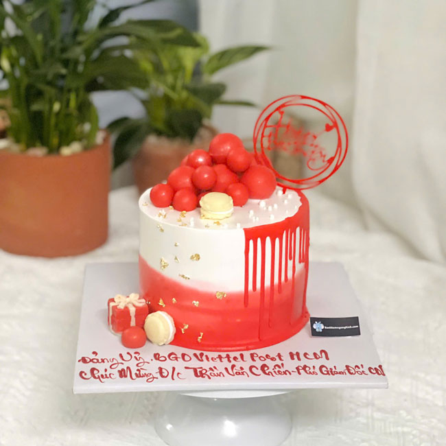 38-banh-kem-sinh-nhat-trang-tri-qua-chau-mau-do-cuc-dang-yeu