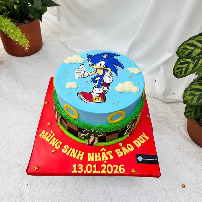 146-banh-kem-sinh-nhat-in-hinh-nhan-vat-sonic-doc-dao