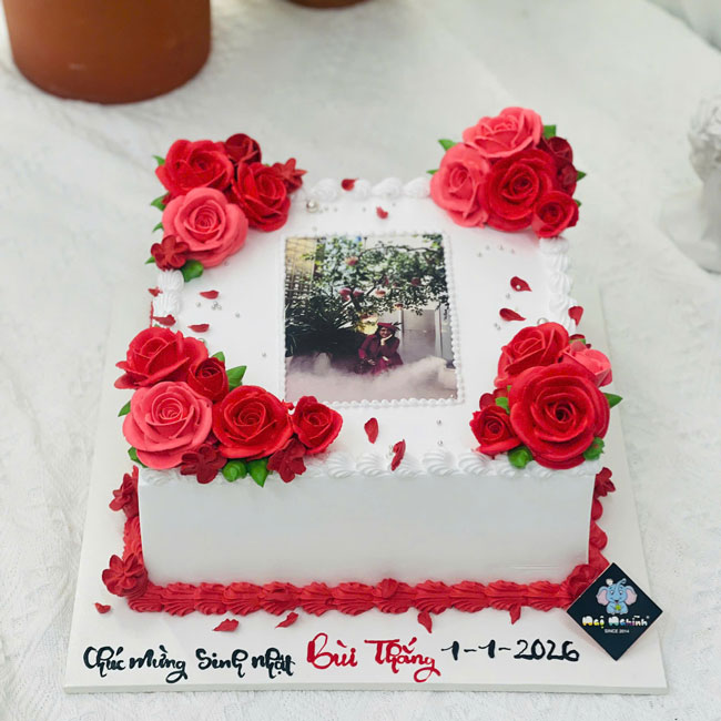 28-banh-kem-sinh-nhat-in-hinh-an-duoc-tang-nu