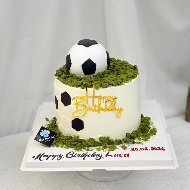 88-banh-kem-sinh-nhat-tao-hinh-3d-qua-bong-da