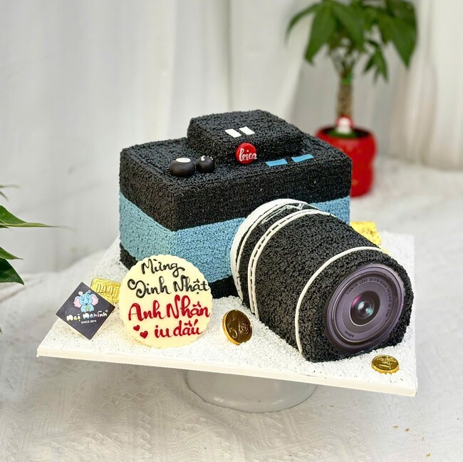 03 banh kem sinh nhat tao hinh may chup anh